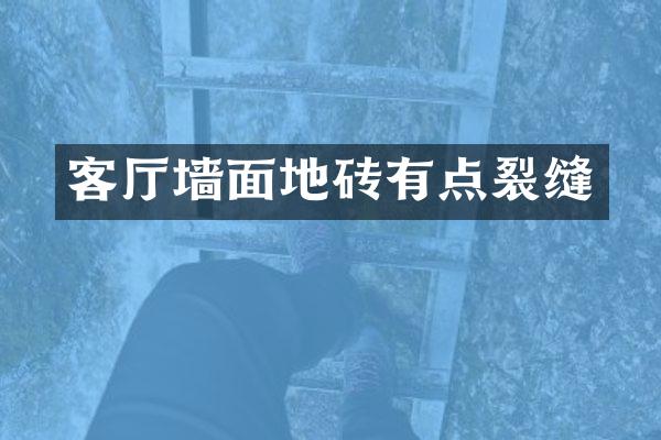 客厅墙面地砖有点裂缝