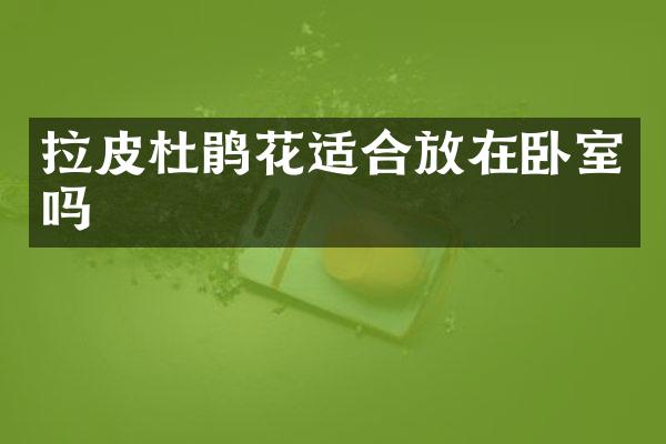 拉皮杜鹃花适合放在卧室吗