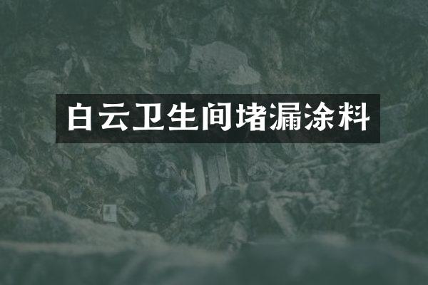 白云卫生间堵漏涂料