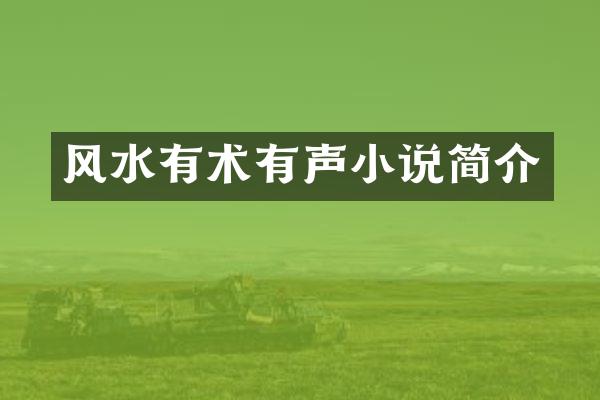 风水有术有声小说简介