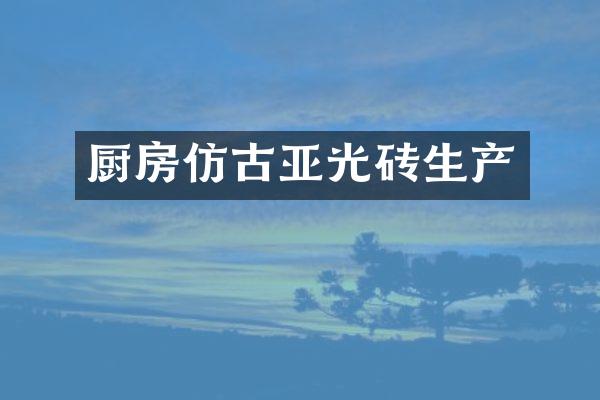 厨房仿古亚光砖生产