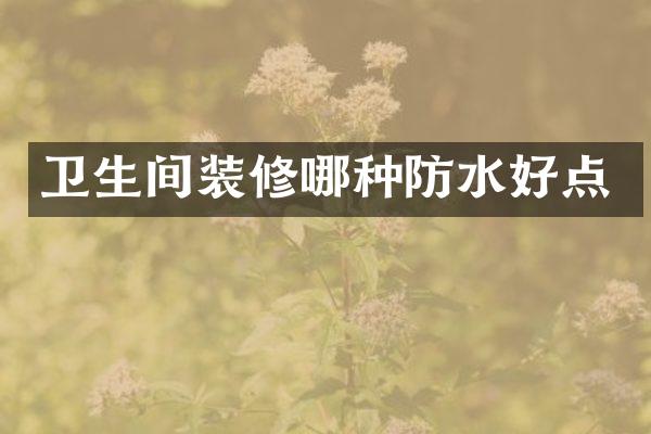 卫生间装修哪种防水好点