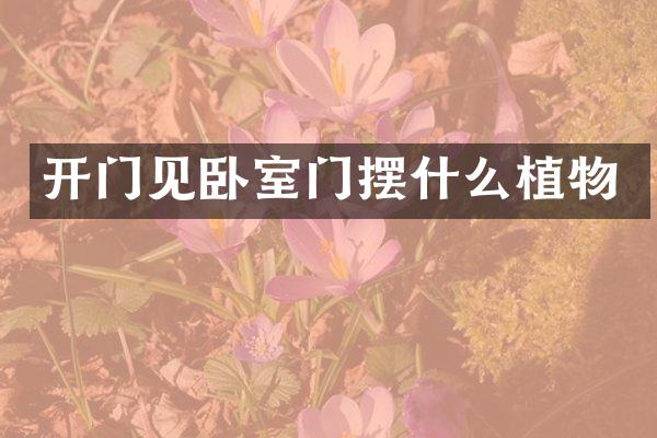 开门见卧室门摆什么植物