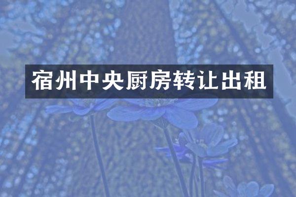 宿州中央厨房转让出租