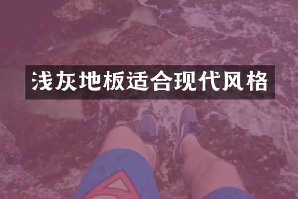 浅灰地板适合现代风格