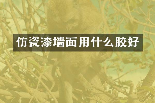 仿瓷漆墙面用什么胶好