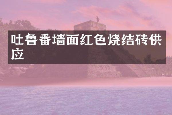 吐鲁番墙面红色烧结砖供应