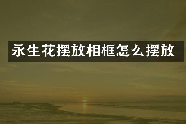 永生花摆放相框怎么摆放