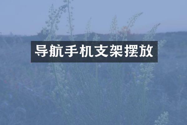导航手机支架摆放