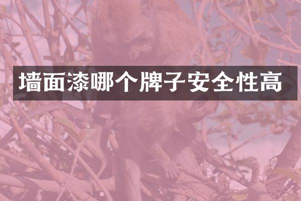 墙面漆哪个牌子安全性高