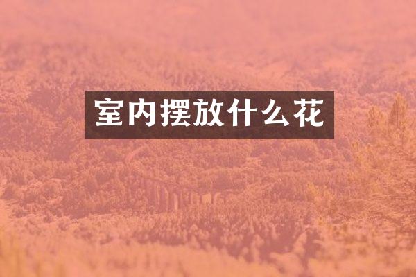 室内摆放什么花