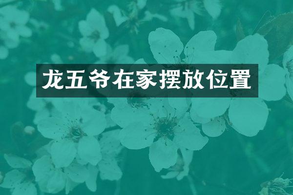 龙五爷在家摆放位置