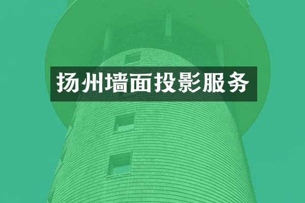 扬州墙面投影服务