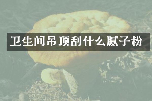 卫生间吊顶刮什么腻子粉