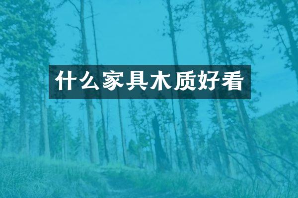 什么家具木质好看
