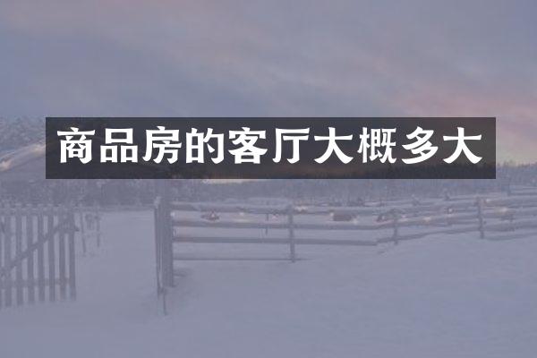 商品房的客厅大概多大