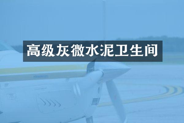 高级灰微水泥卫生间