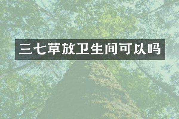 三七草放卫生间可以吗