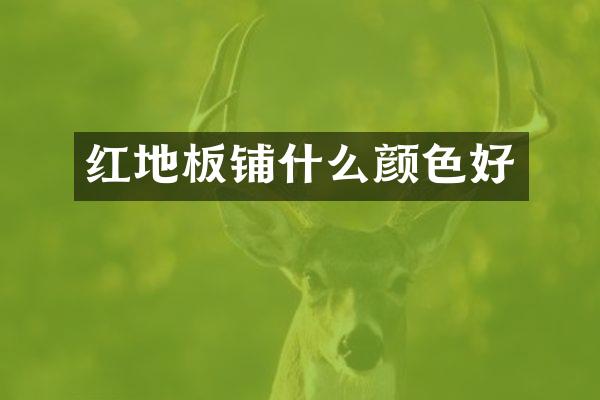 红地板铺什么颜色好