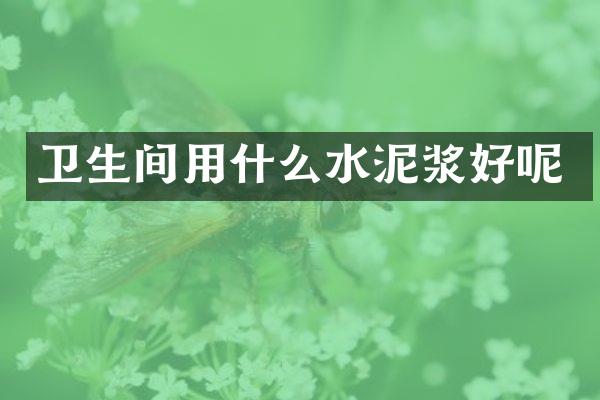 卫生间用什么水泥浆好呢