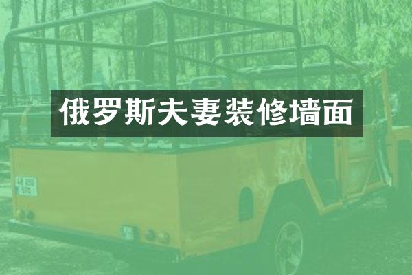 俄罗斯夫妻装修墙面