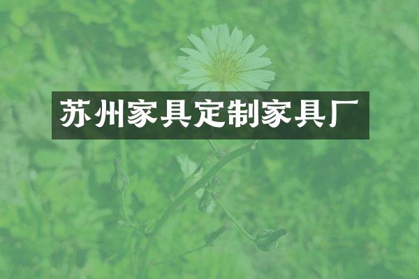 苏州家具定制家具厂