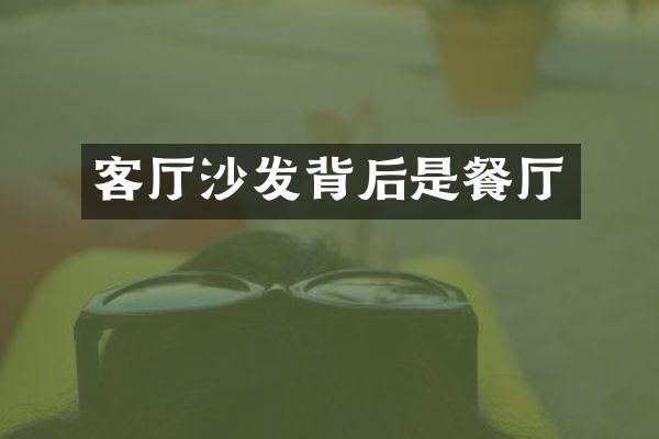 客厅沙发背后是餐厅
