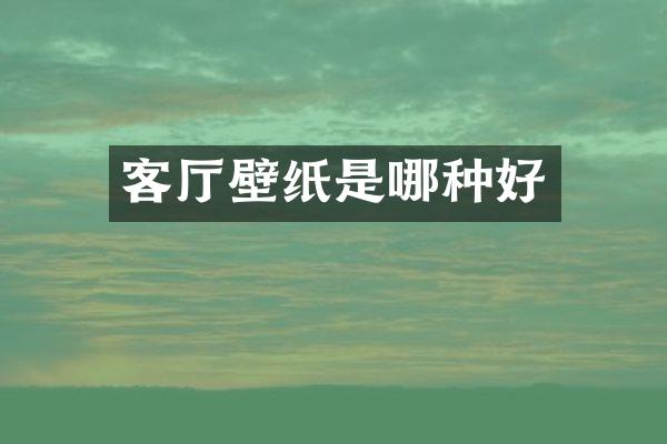 客厅壁纸是哪种好