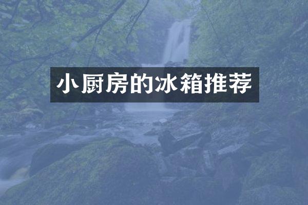 小厨房的冰箱推荐