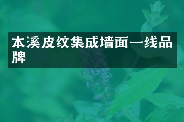本溪皮纹集成墙面一线品牌
