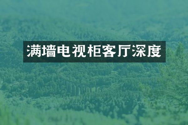 满墙电视柜客厅深度