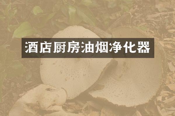 酒店厨房油烟净化器