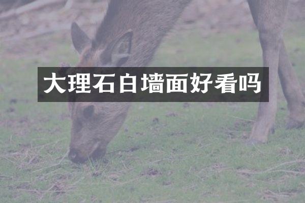 大理石白墙面好看吗