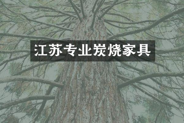 江苏专业炭烧家具