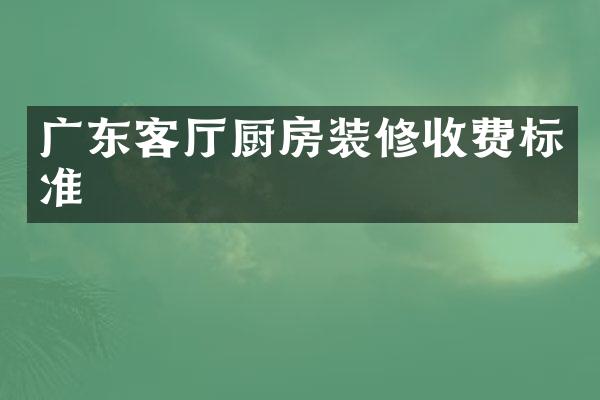 广东客厅厨房装修收费标准