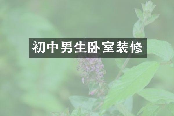 初中男生卧室装修