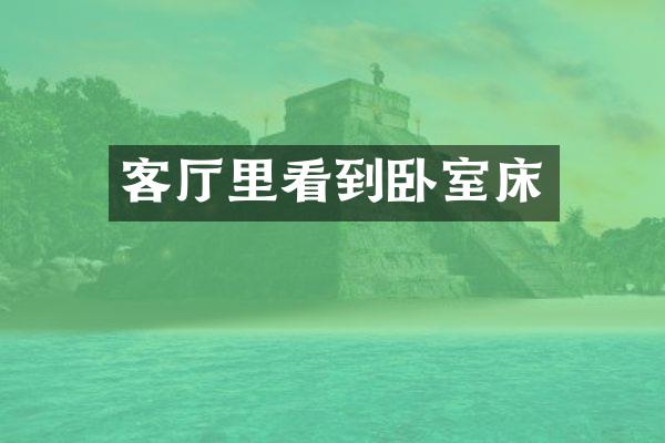 客厅里看到卧室床