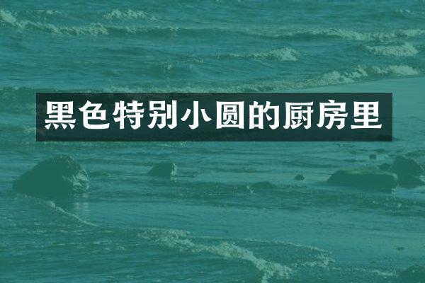 黑色特别小圆的厨房里