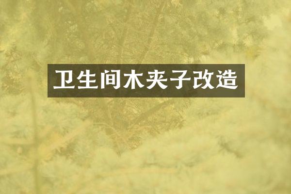 卫生间木夹子改造