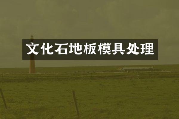文化石地板模具处理