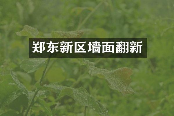 郑东新区墙面翻新