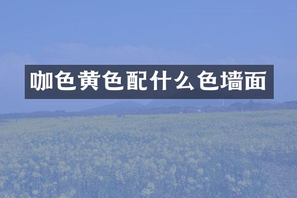 咖色黄色配什么色墙面