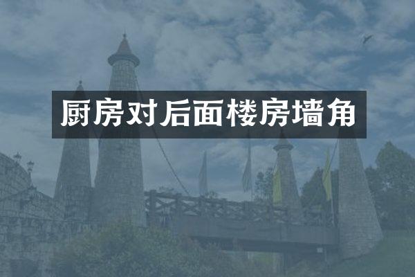 厨房对后面楼房墙角