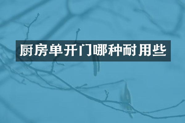 厨房单开门哪种耐用些