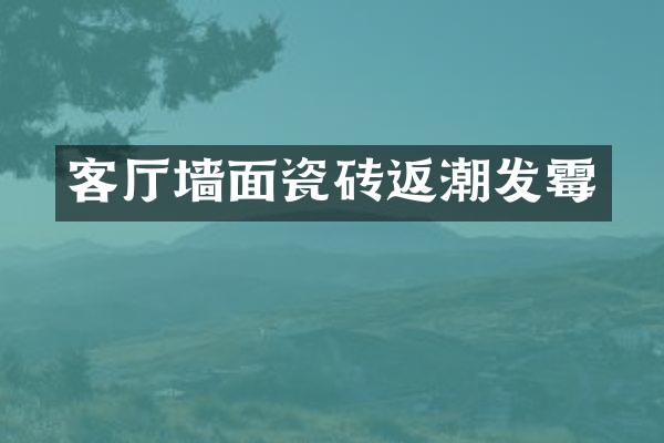 客厅墙面瓷砖返潮发霉
