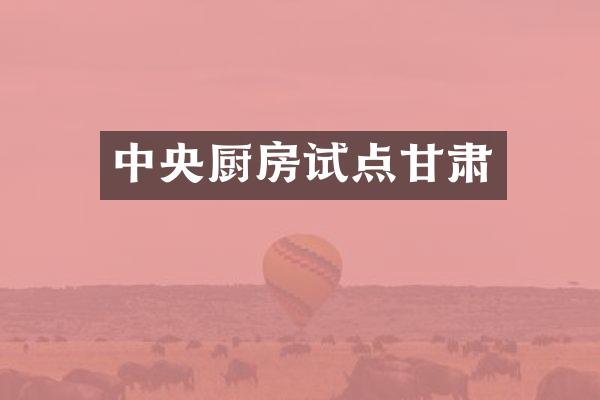 中央厨房试点甘肃