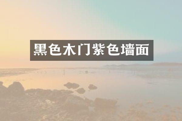 黑色木门紫色墙面