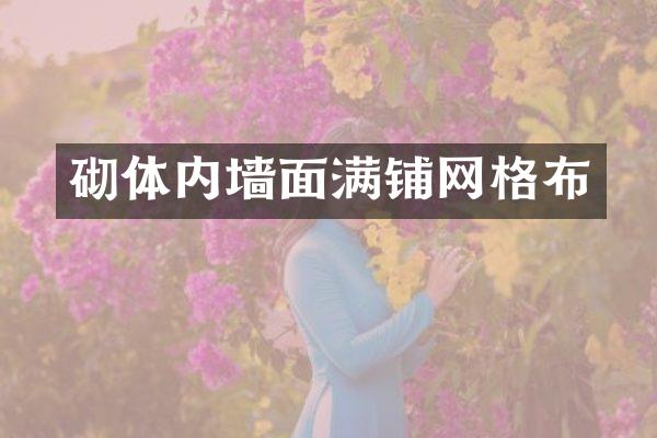 砌体内墙面满铺网格布