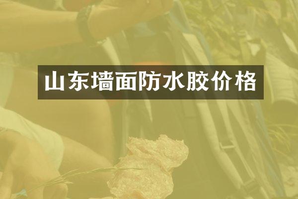 山东墙面防水胶价格