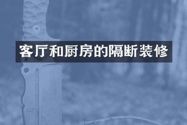 客厅和厨房的隔断装修